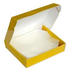 Bustina cd / dvd con flap (100 pezzi)